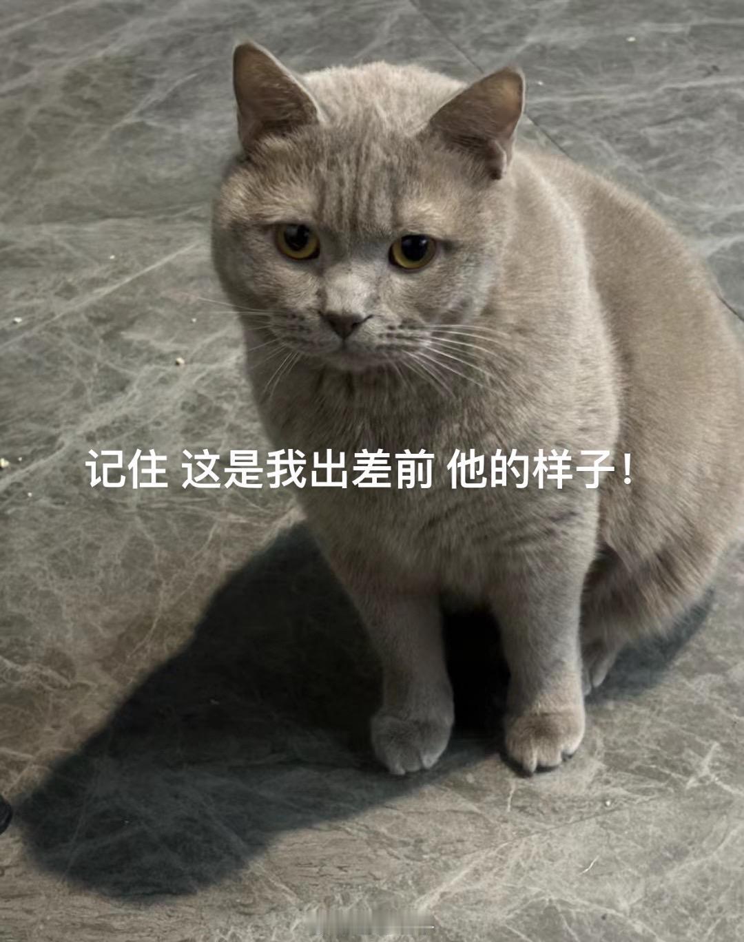 自爱也能疯狂长出血肉[喵喵]#新年快乐漫游指南# ​​​