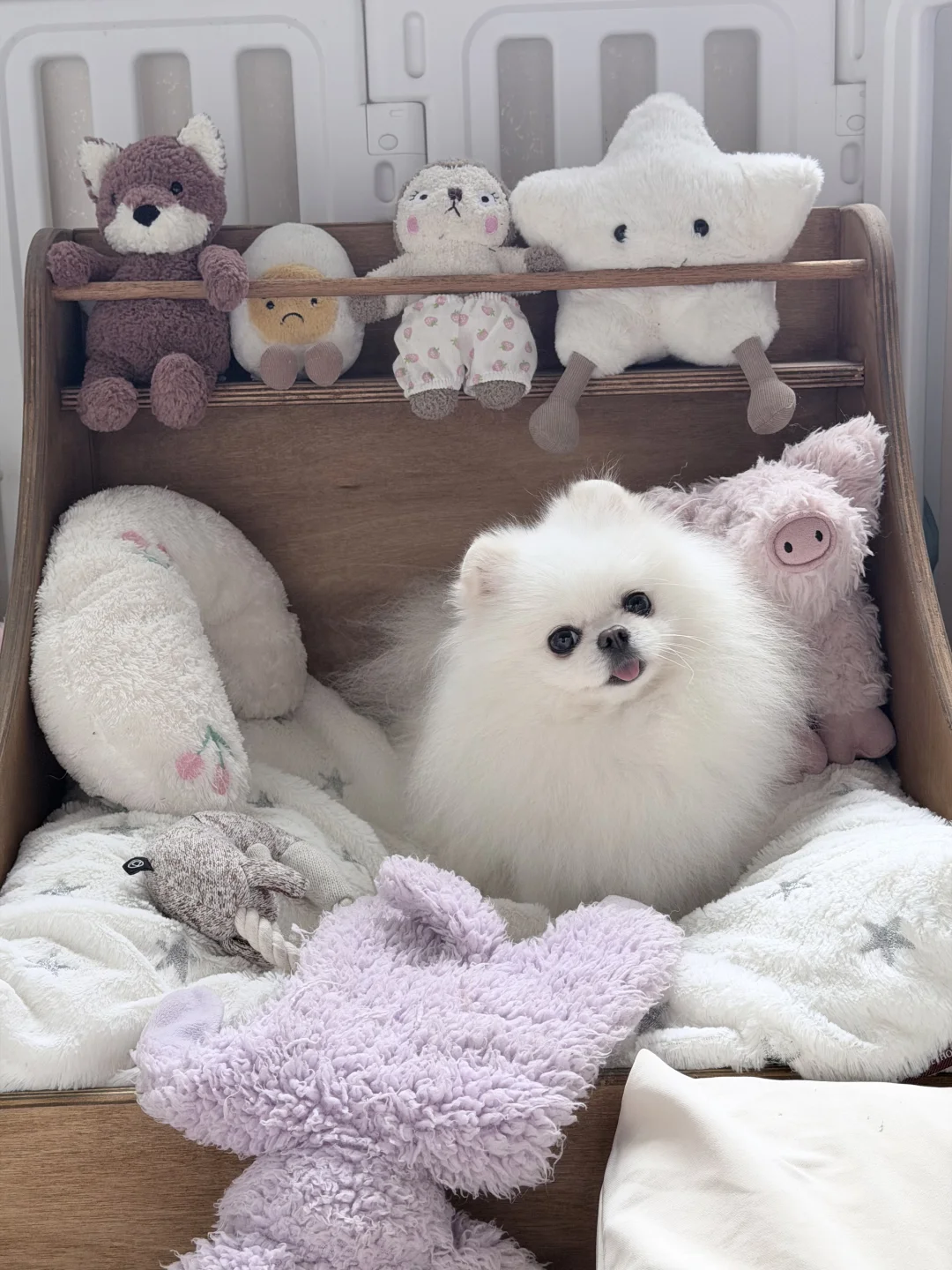 宝宝长得好像宫崎骏的白色小龙猫