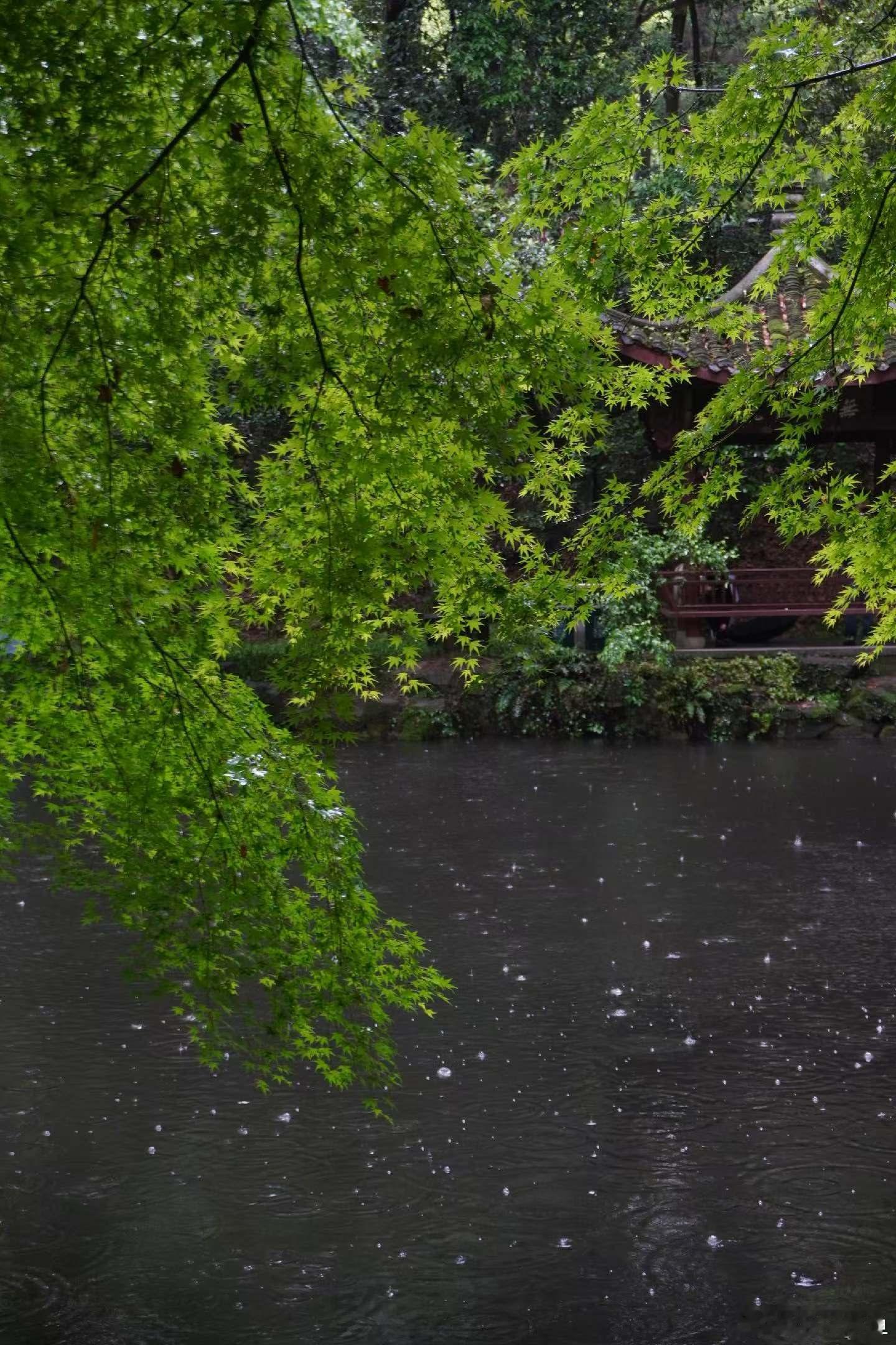 趁有雨，赴一场闲步～ 