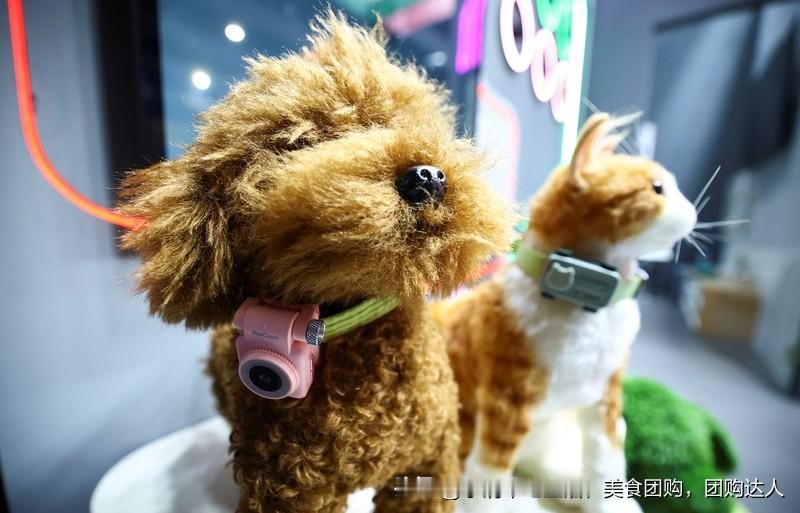 在头条晒宠物真是乐趣无穷！就说比熊吧，有网友随手晒出一只毛乱、耳朵歪、挂着泪痕的