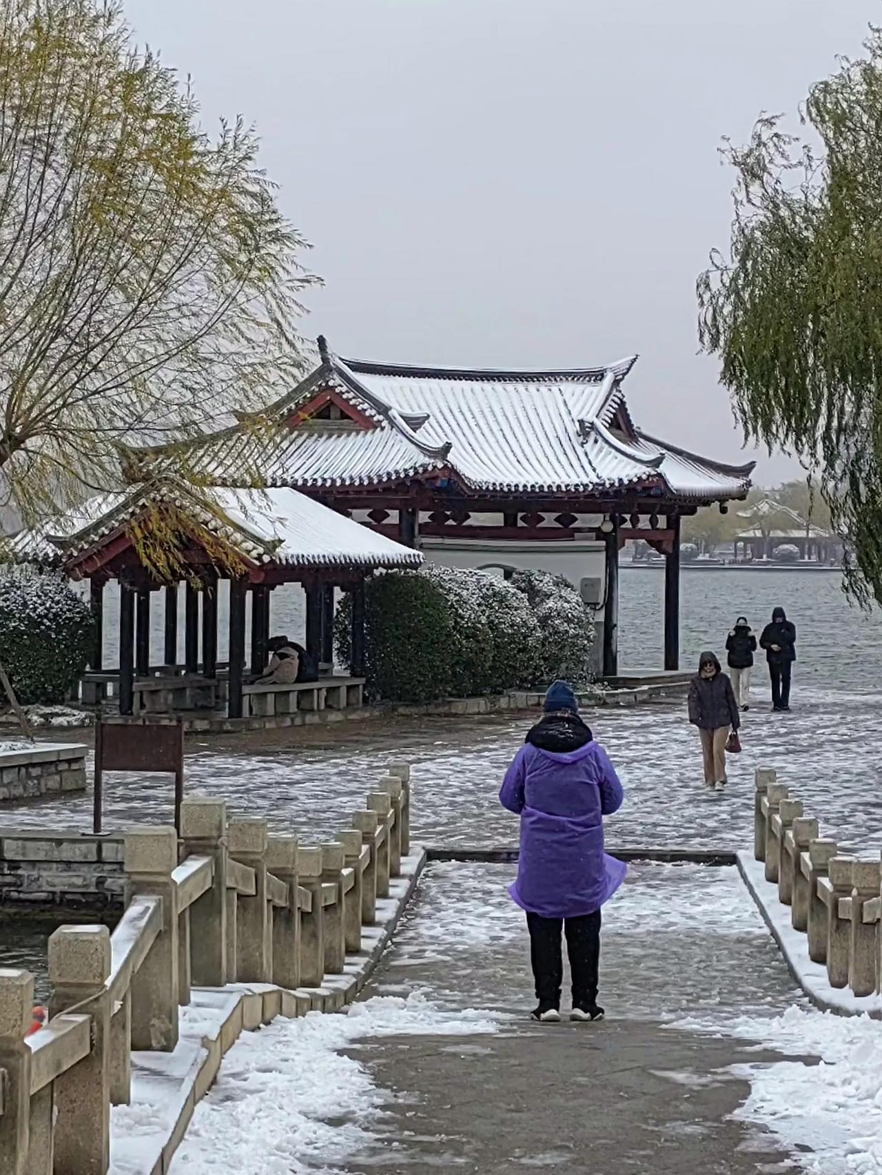 一尘不染，寂静无声，这是雪的颜色，也是你我心底的安宁。
岁月温情相拥，用真心温暖