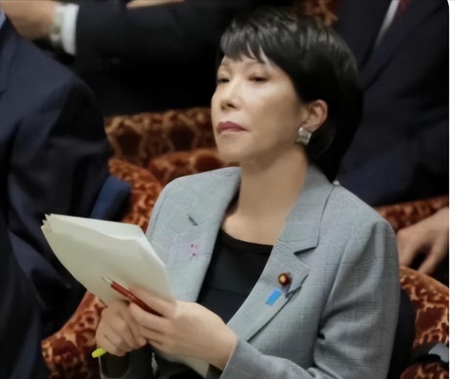 高市早苗在G7峰会上拼命鼓动各国联手围堵中国稀土出口，结果应者寥寥。欧洲国家嘴上