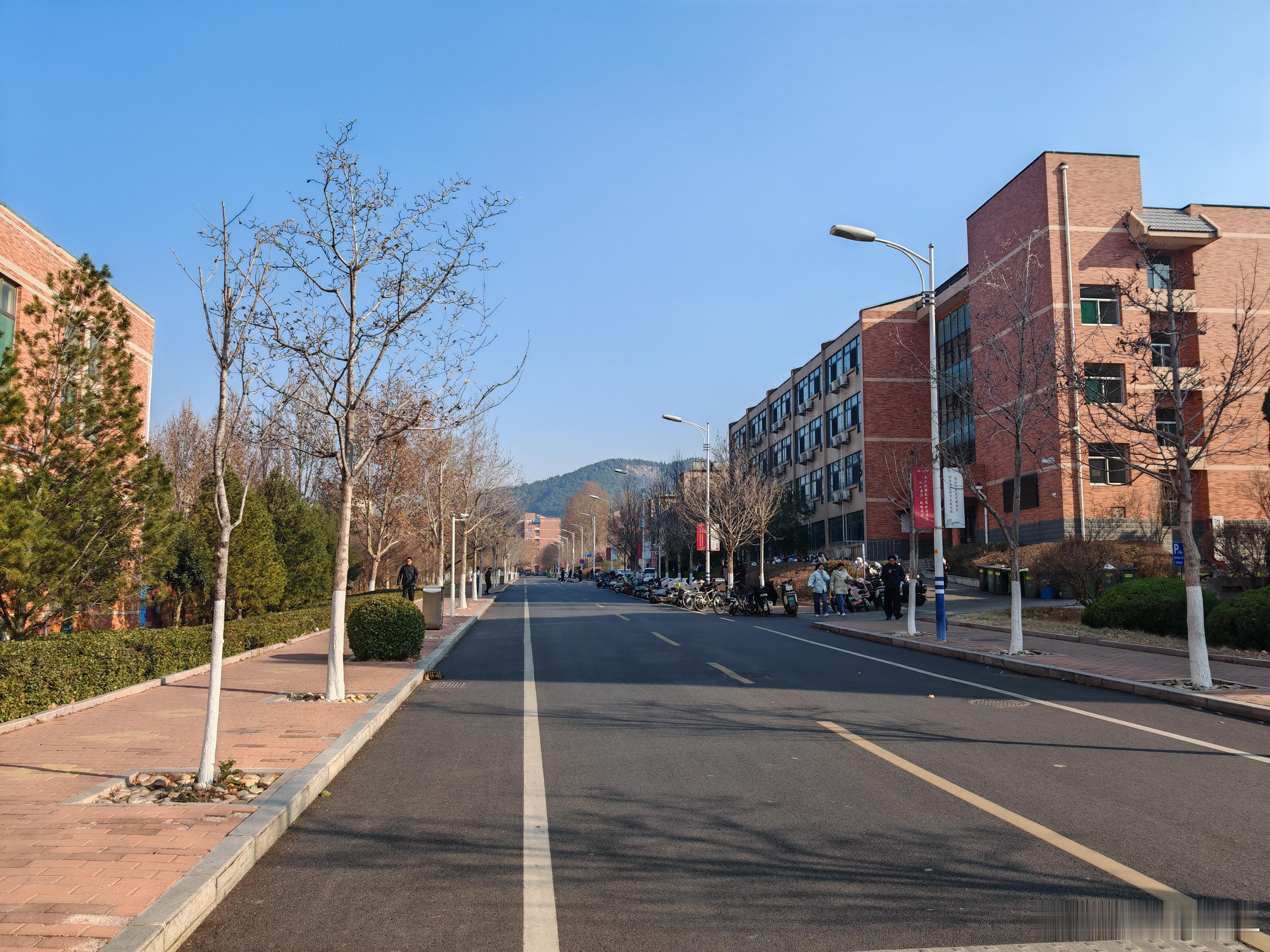 冬日的校园，给人不一样的感觉