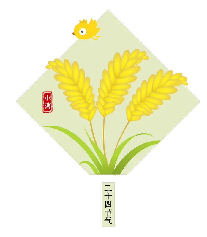 节气小知识,学习了吗? 二十四节气，大家都能背几句，可背后的冷知识很多人都理解错