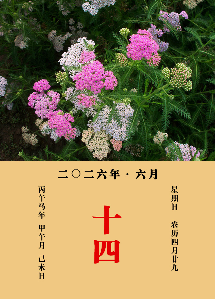 每天一味中草药 邹澍说：蓍之为物，其茎如蒿，一本百茎，其下有神龟守之，其上有青云
