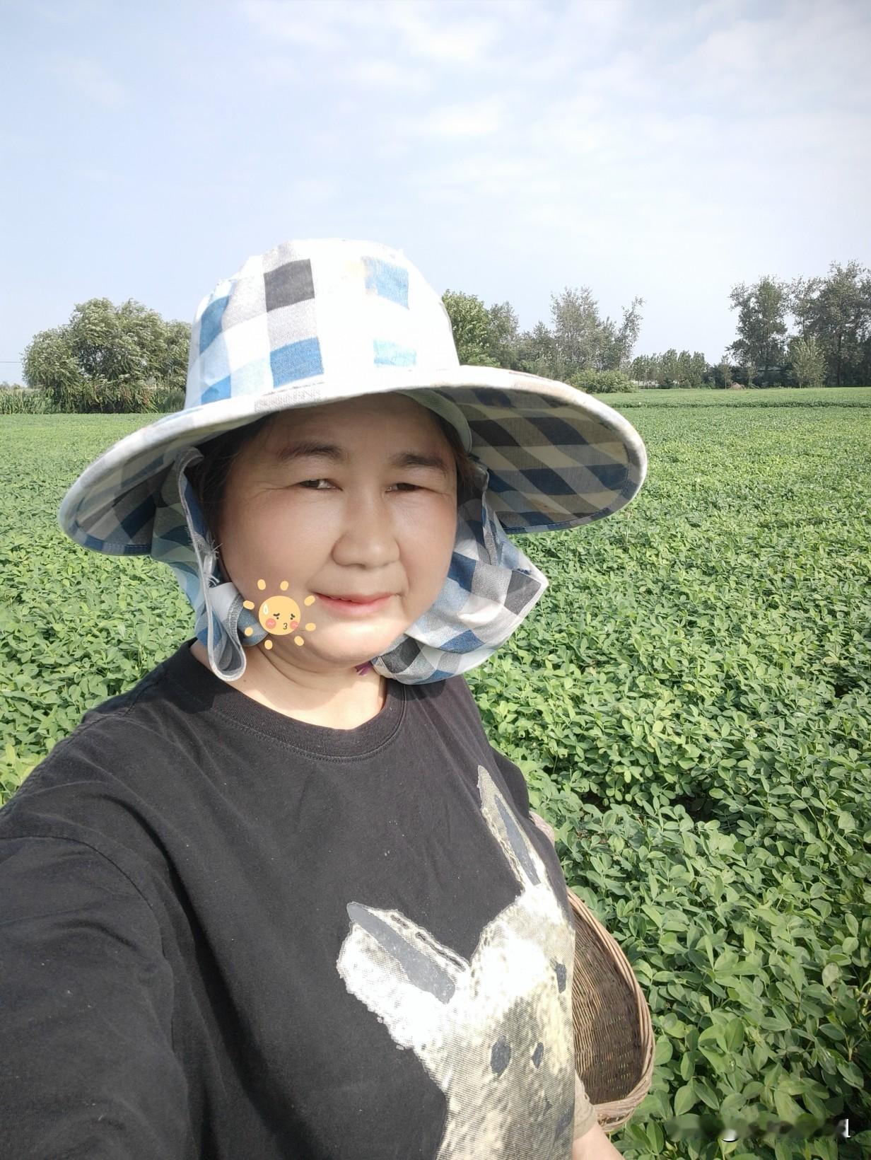 干活也得会算计
今天8月9号，今天好凉爽，风大，早晨天一亮，我就下田拔草，不用吃
