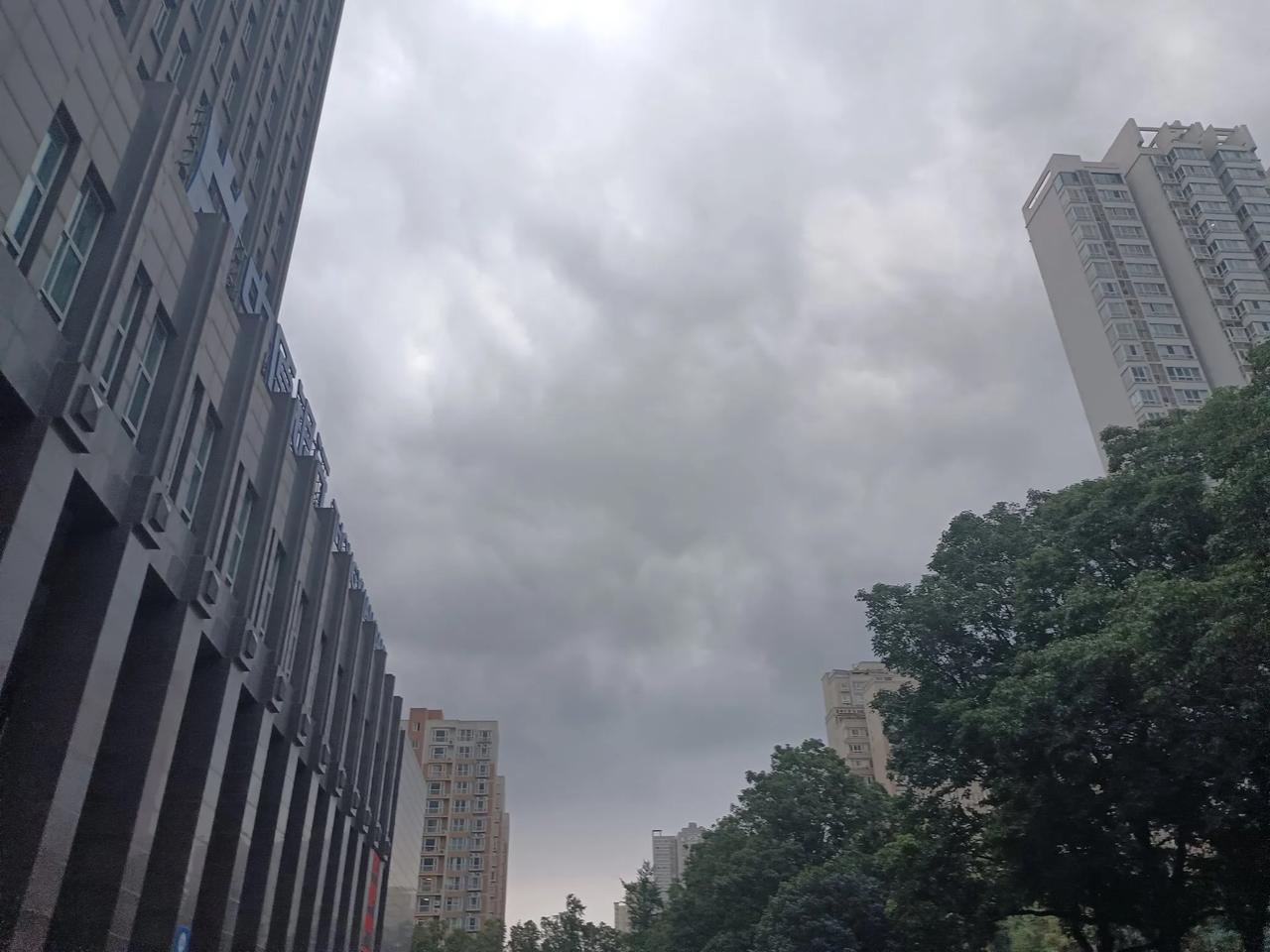 没有最高，只有更高。
上市公司财务造假金额再次刷新，*ST高鸿用了九年时间，虚增