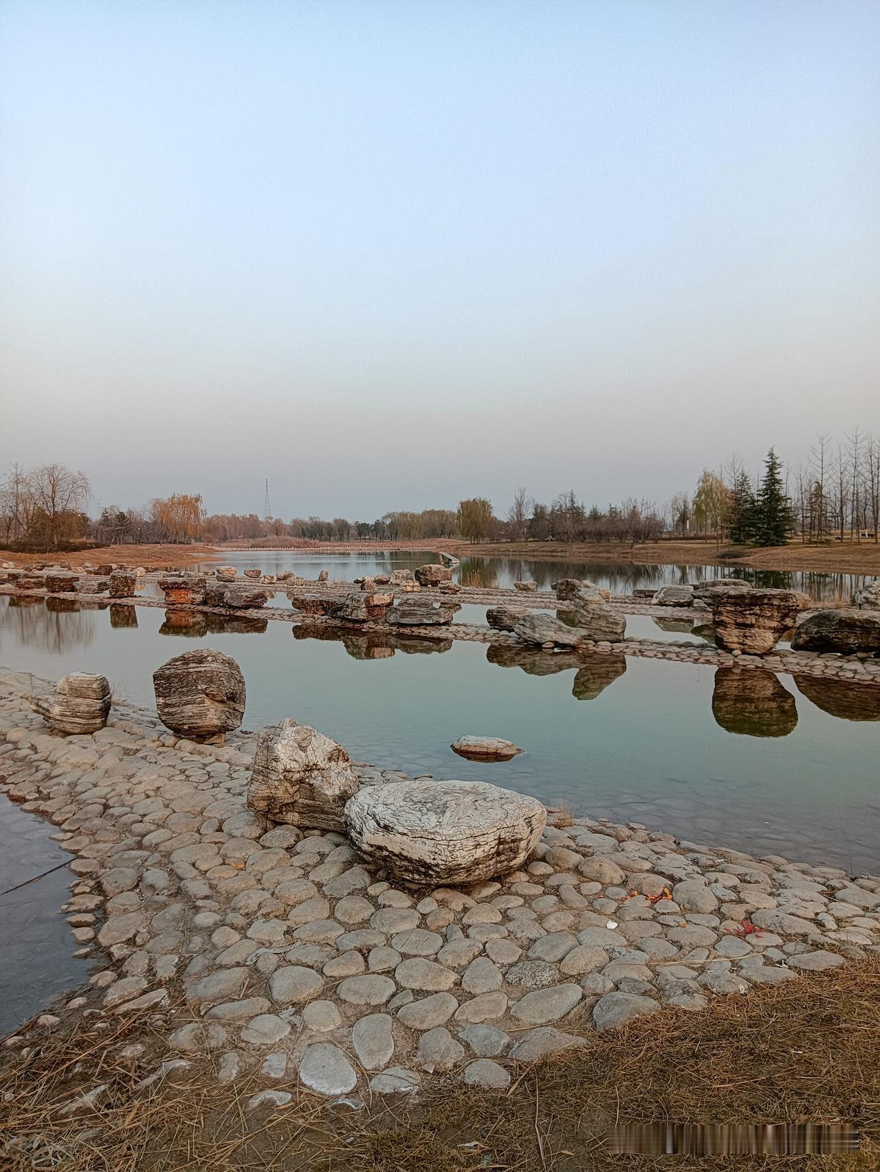 朝我这儿看，这里是咸阳的秦汉新城渭河湿地公园，一个离地铁14号线秦宫站很近的自然