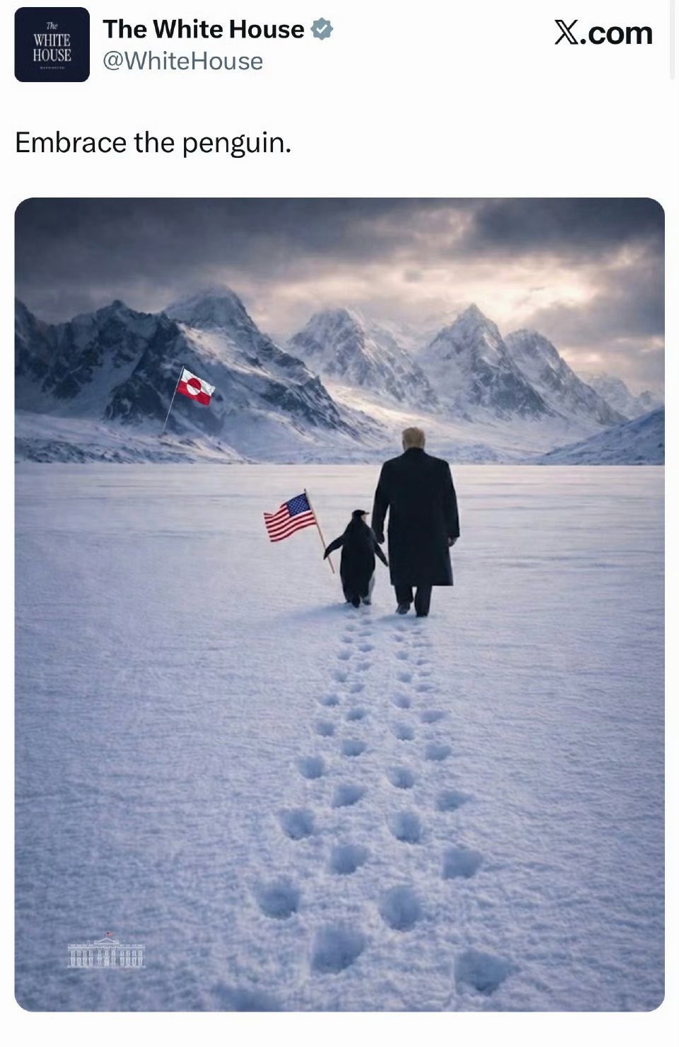 🔻笑你吗死，这白宫官网发的，特朗普牵企鹅。🔻格陵兰在北极，北极没有企鹅。白宫