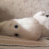甜蜜爱说法律