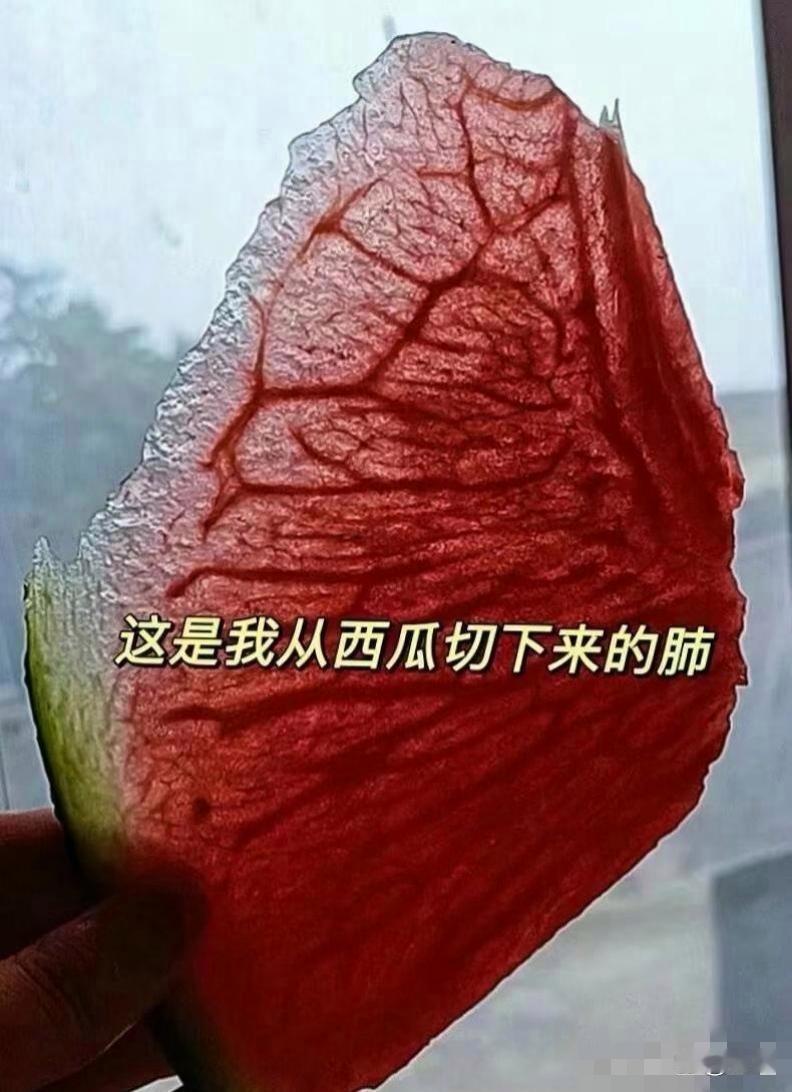 看搞笑视频就是治愈生活的良药啊 