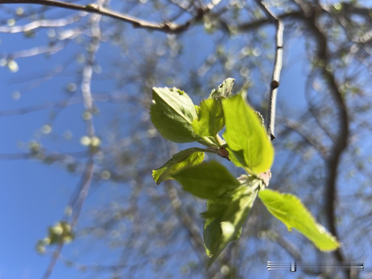 如果世界真的遭遇大灾难，我大概率会是表面慌、心里稳，嘴上硬、行动软的那种人：
1