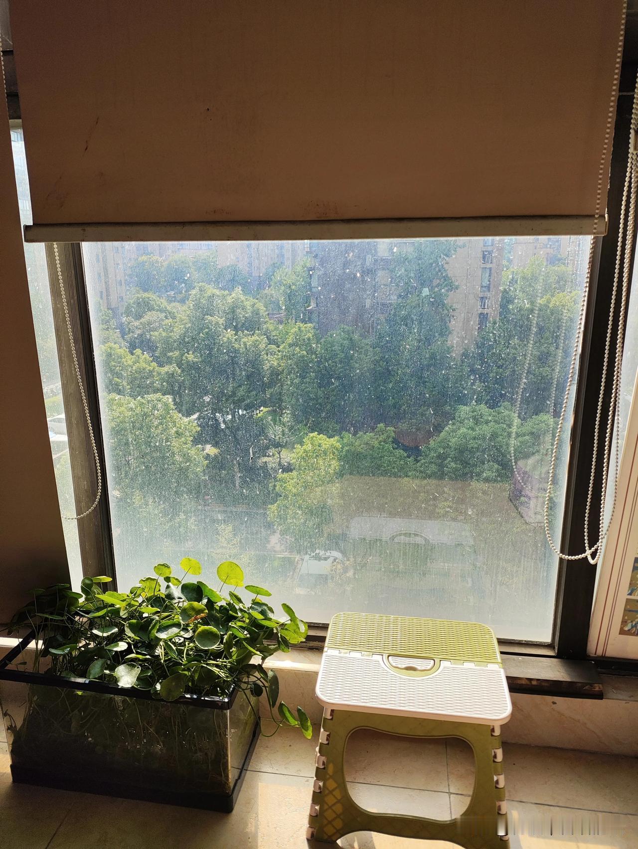 分享一张你拍的最美的照片