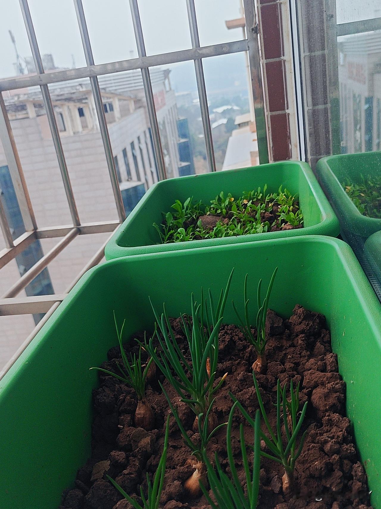 分享一下你随手拍下的照片