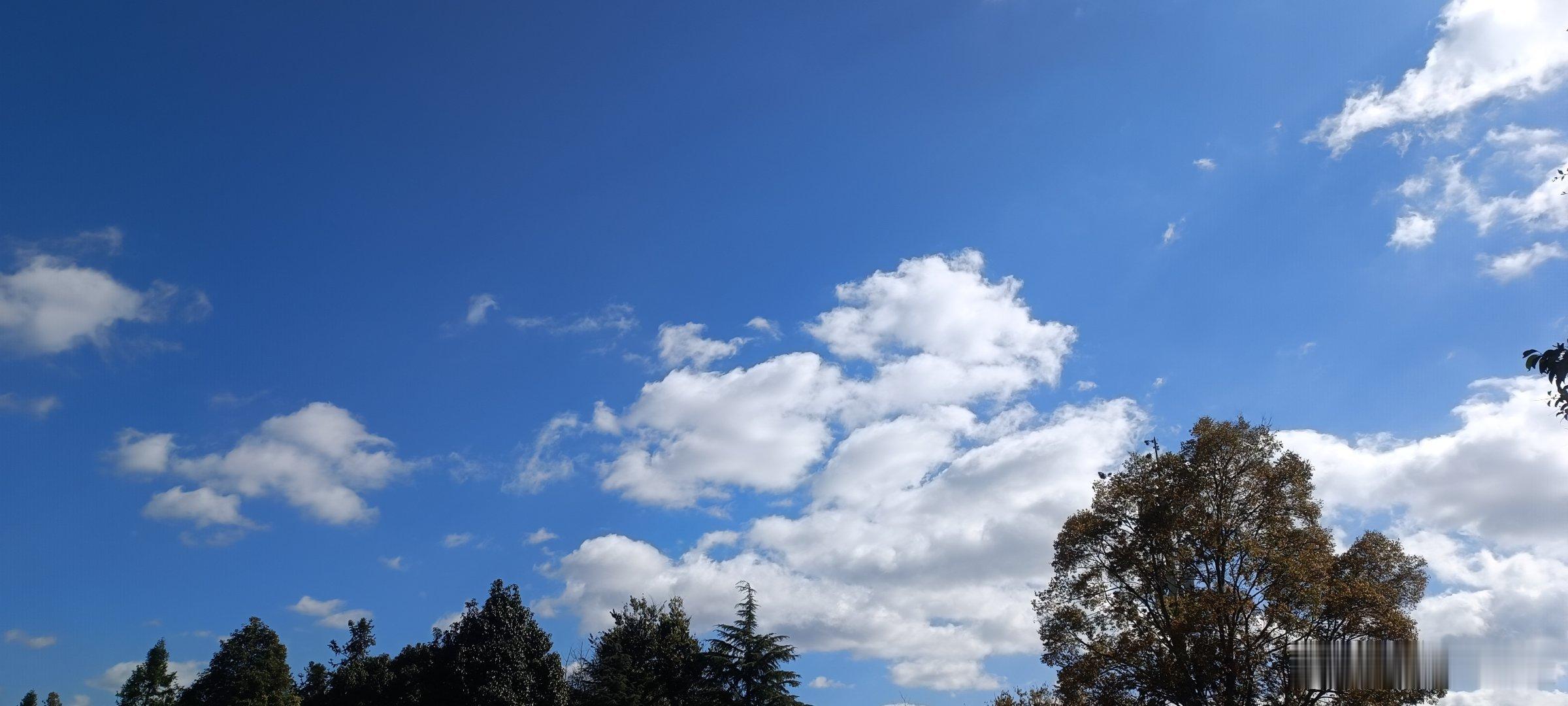 我的日常plog 天气晴好 