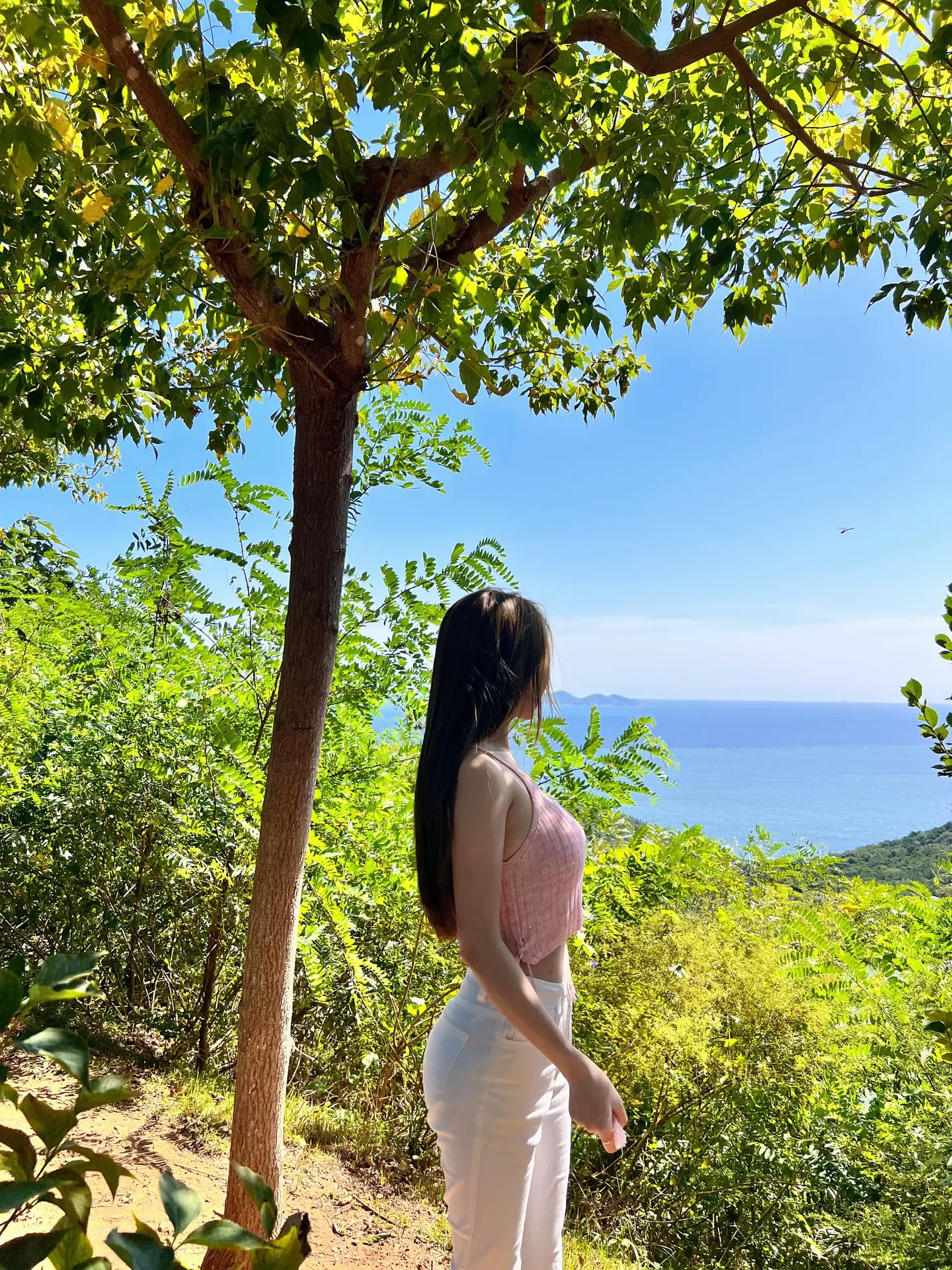 你失约的那片海 我替你看了 海的那边是什么已经不重要了