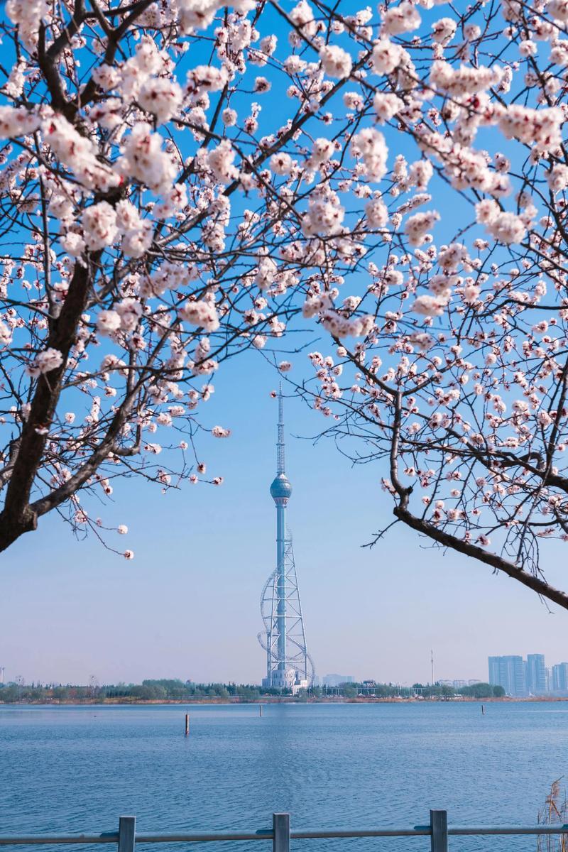 你好，老朋友。
晨光初现，临沂的春天快来了。
有什么想聊的、想问的，我都在这儿，
