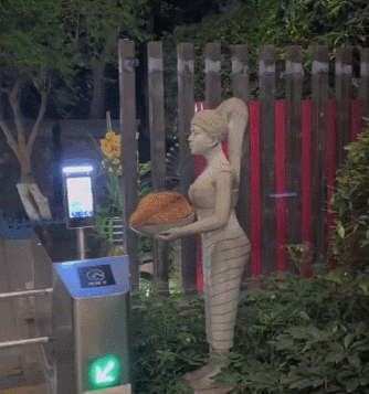 果然猫可以用任何量词，比如这一盘猫