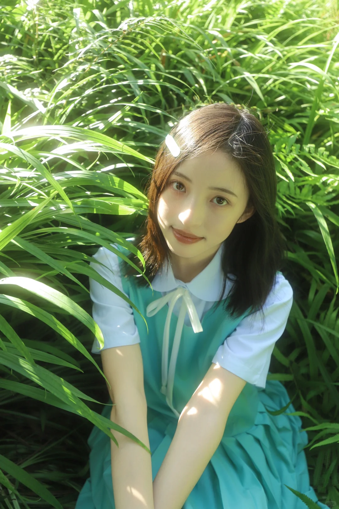 我们相遇在盛夏