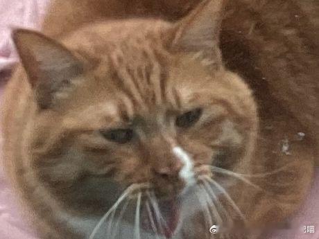 49347【丑】不必多说 