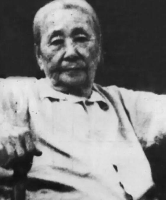 1924年，老师在课堂上打了8岁的张学思十手板，张学思哇哇大哭：“我爸是张作霖！