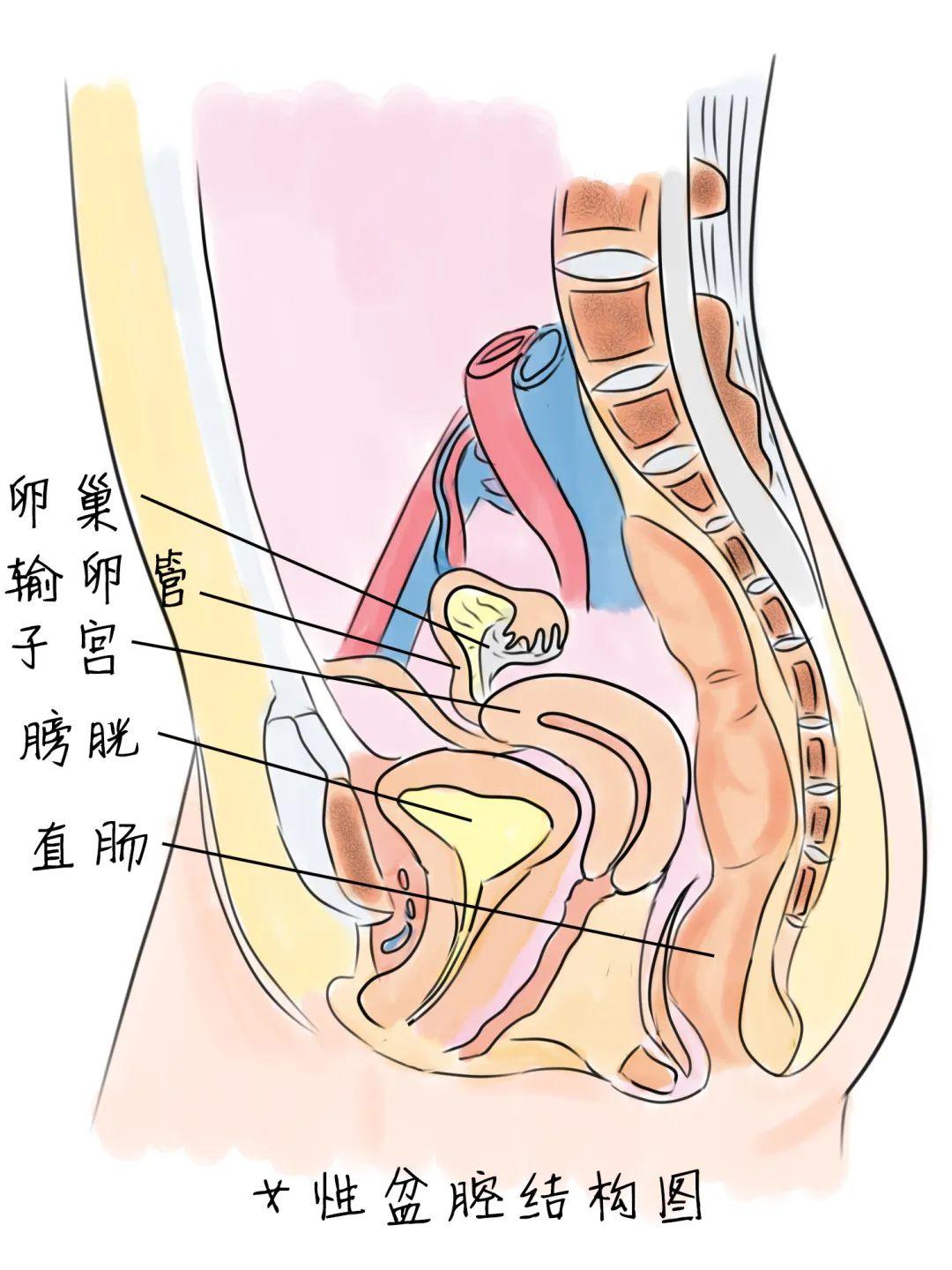 妇科检查的坑之一：盆腔积液

很多人在常规妇科检查的时候发现会有盆腔积液，通常也