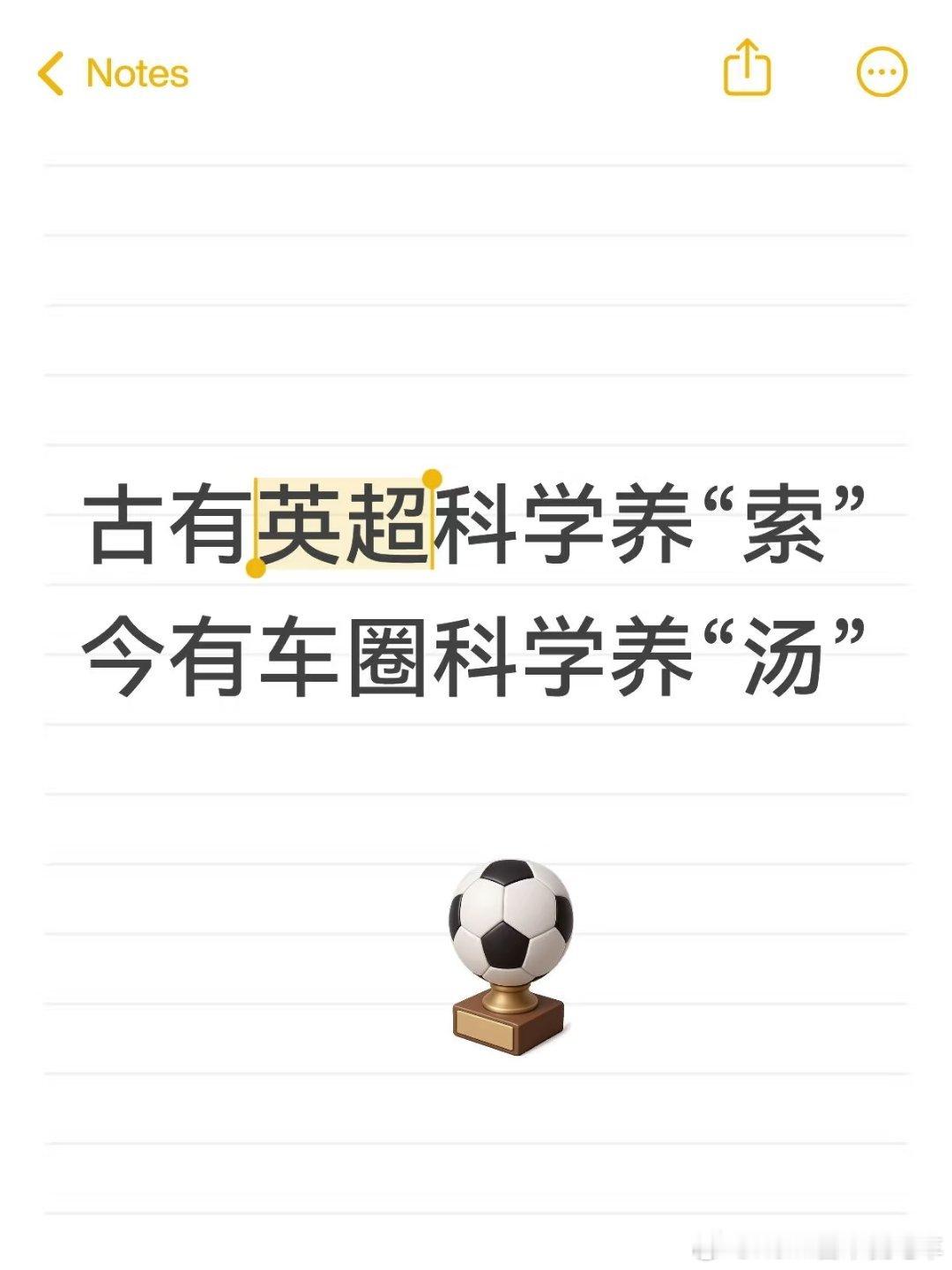 古有英超科学养“索”今有车圈科学养“汤”