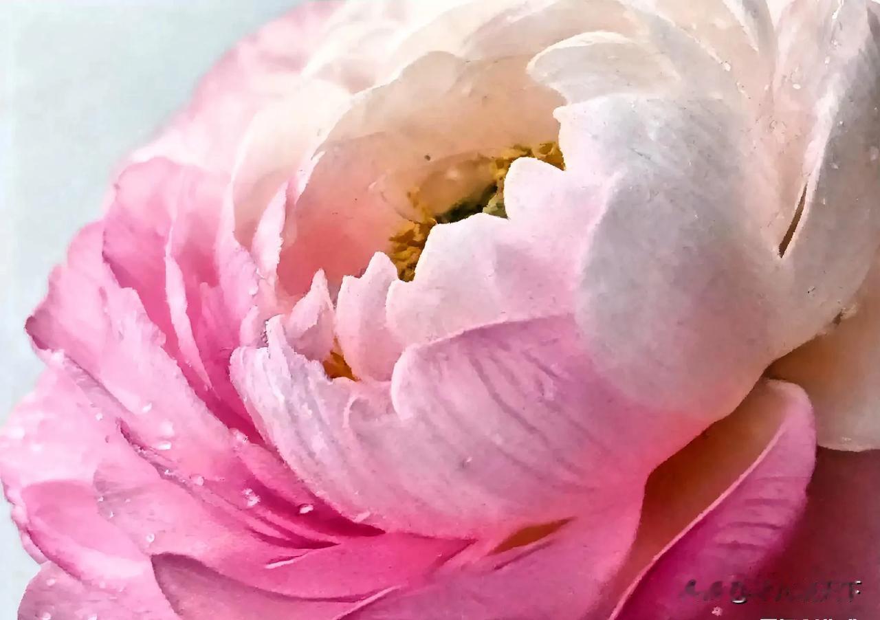 太赞成了！

中医进中小学不是要教孩子当“小中医”，而是把老祖宗的健康智慧掰开揉