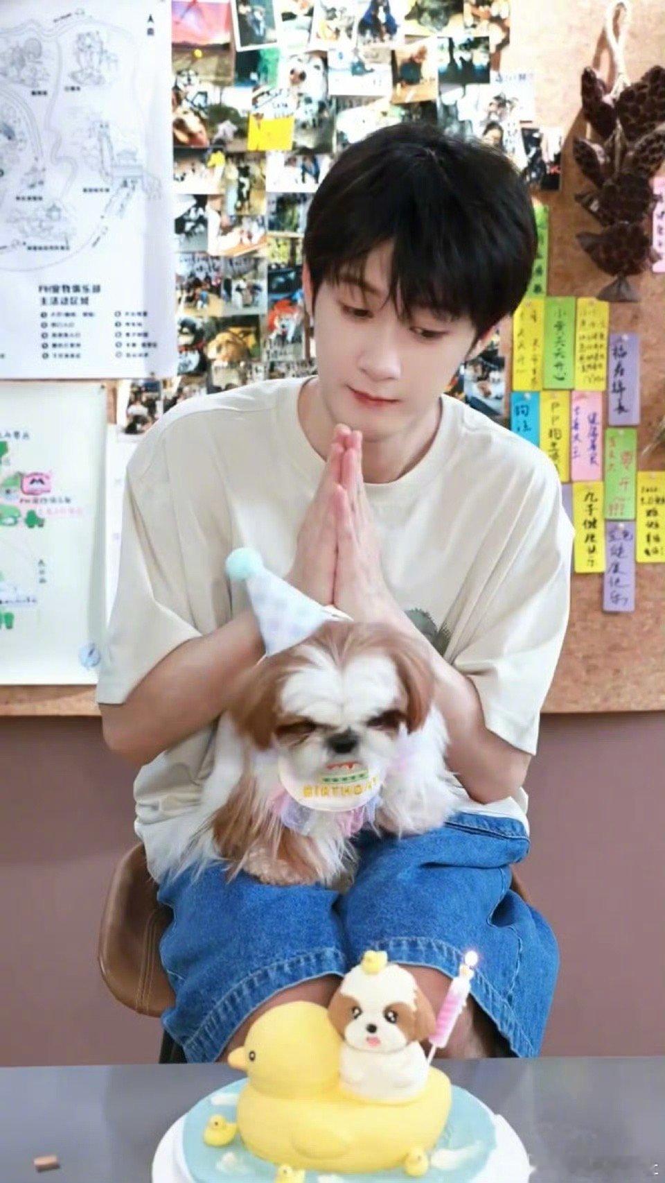 檀健次的狗狗🐶真的好幸福，檀健次给狗狗过生日🎂啦！ ​​​