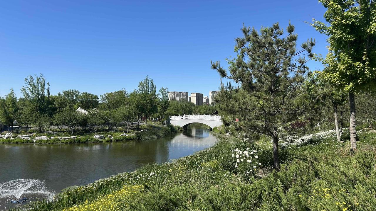 北京南苑湿地森林公园