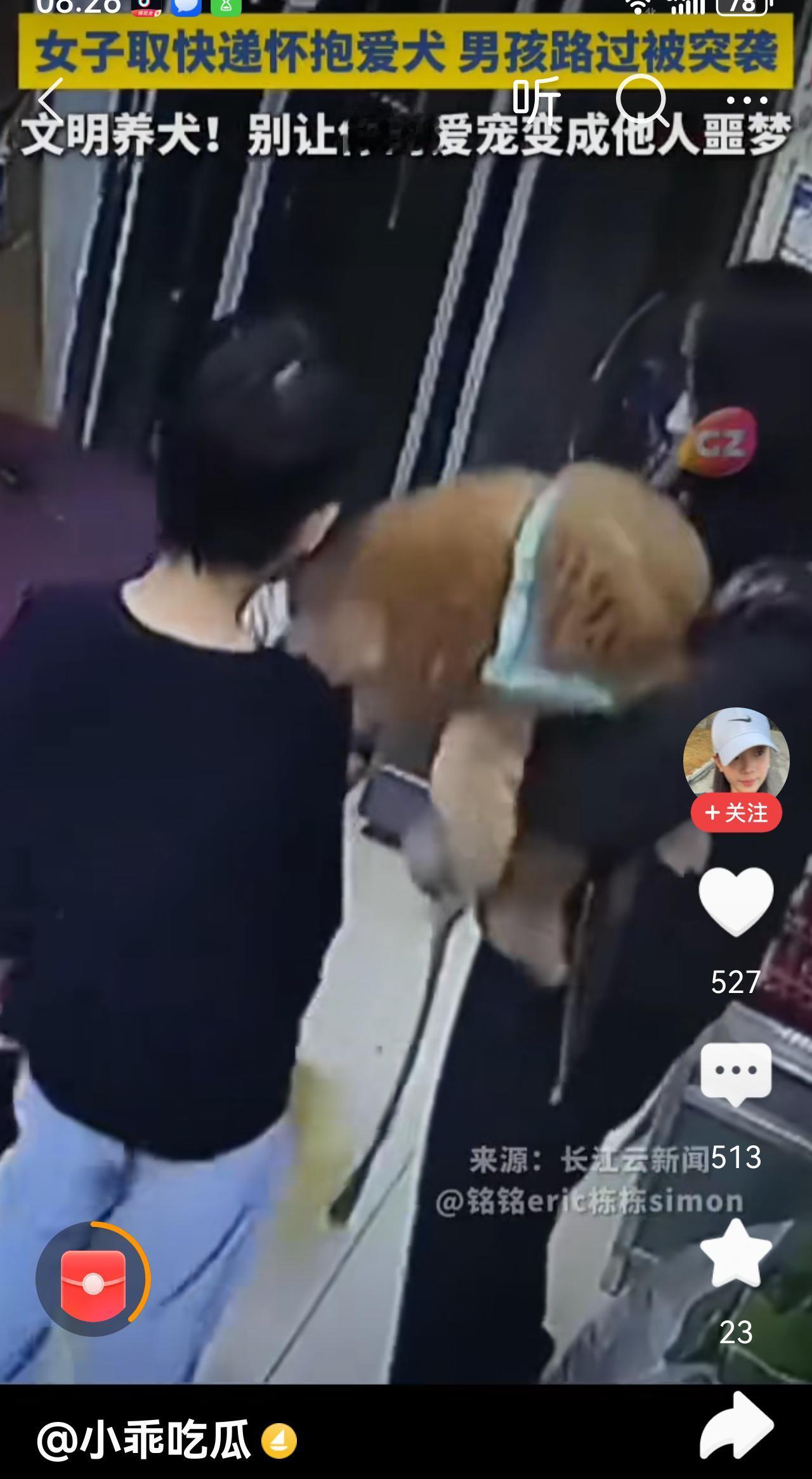 这狗是疯了吧，怎么被狗妈抱在怀里还突然咬人呢？
这种咬人的狗该被安乐了