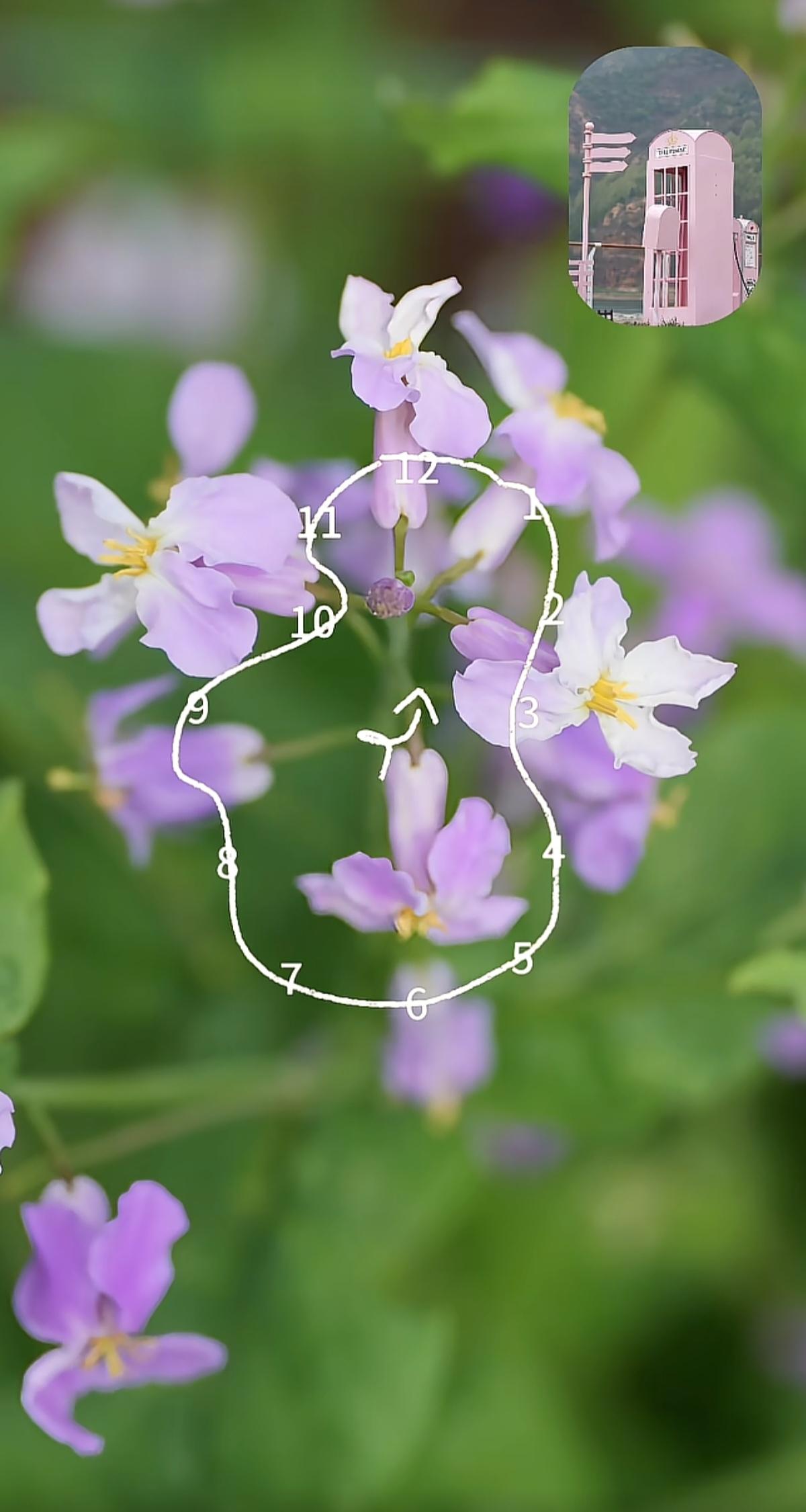 去户外玩吧，趁着春光明媚，趁着年华正好……