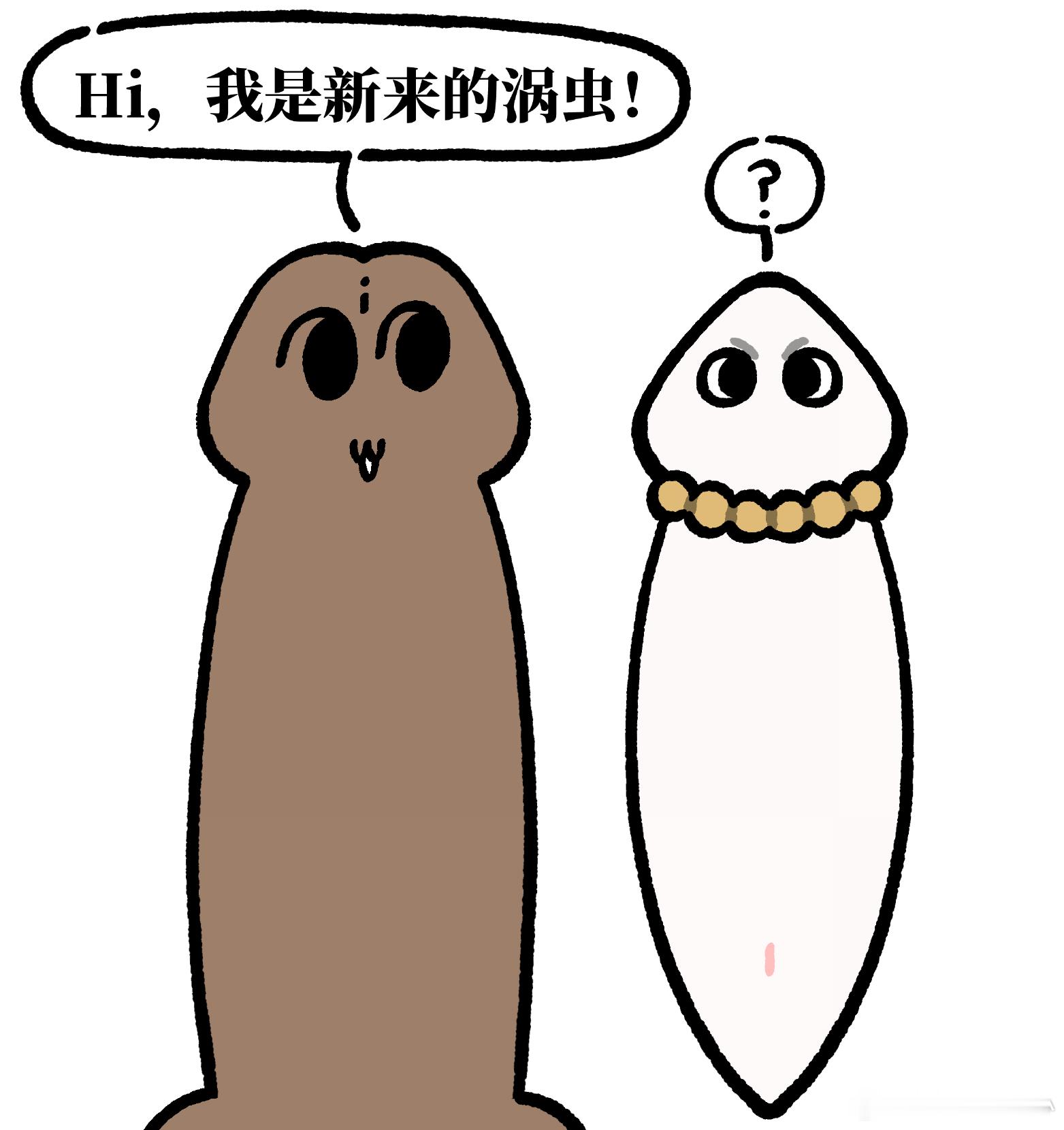 图奈 涡虫时候。 