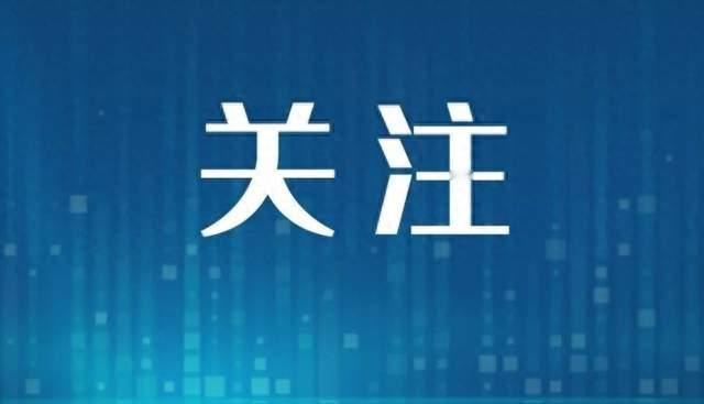 已婚男子伪造“离异带娃好男人”人设，诱骗多名女性为其转账负债近300万元；诈骗所得几乎全部用于打赏女