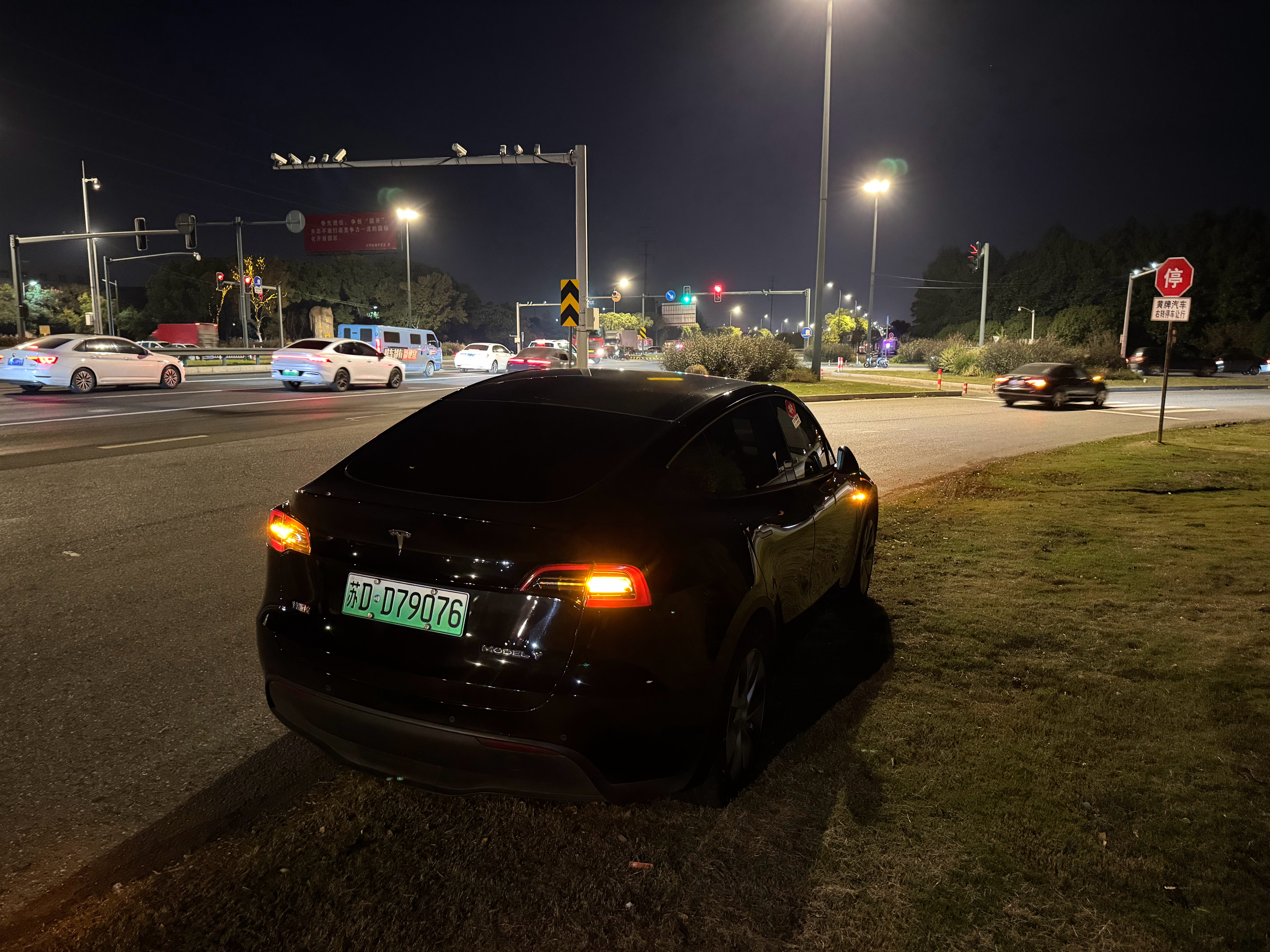 完了！又得叫特斯拉道路救援了去江阴路上芙蓉大道上跑着跑着叮叮两声报警 胎压灯亮了