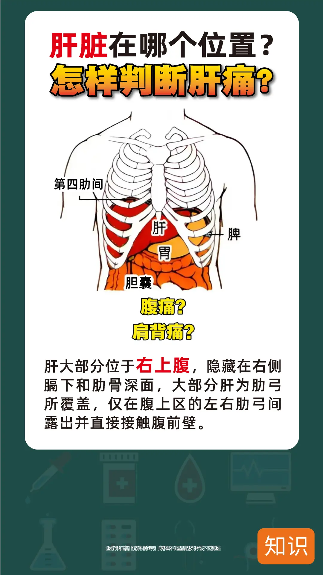 肚子痛？要怎么判断是肝痛呢？