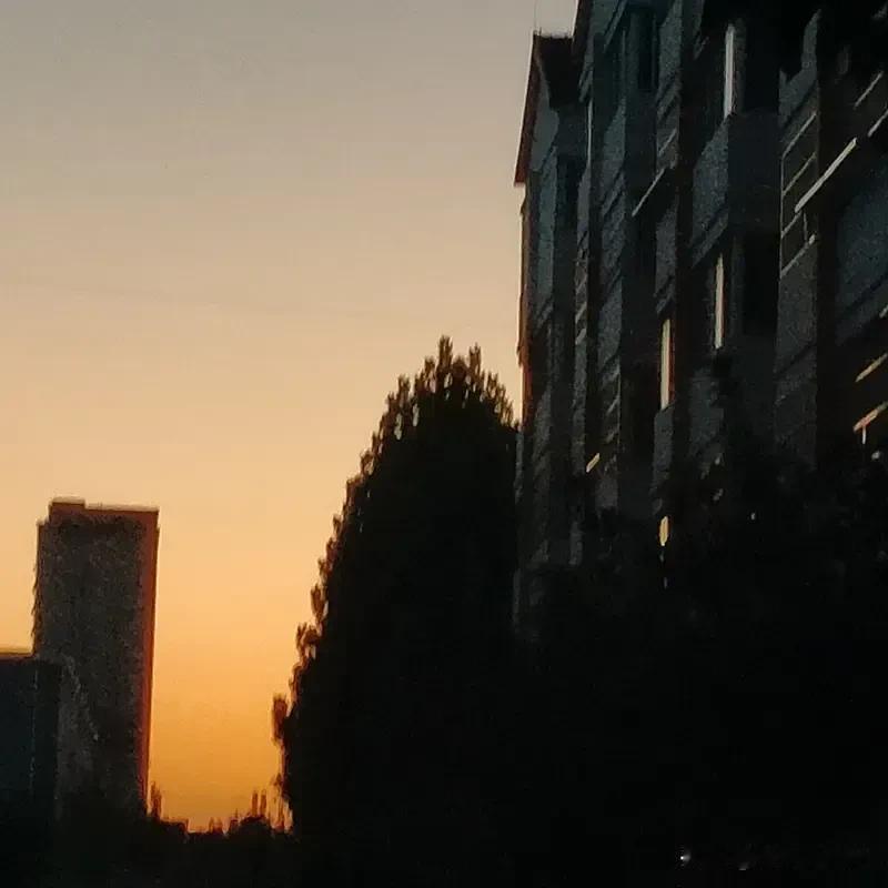 《七律  岁月》
漫步桑田万里霜，千秋过后道犹长。
残垣荒草埋王事，古道青山隐帝
