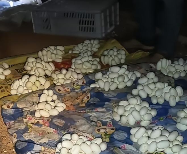 吓哭了！6月12日，江西一小伙整整半年没有回过家，最近，他返回自己久无人居的住处