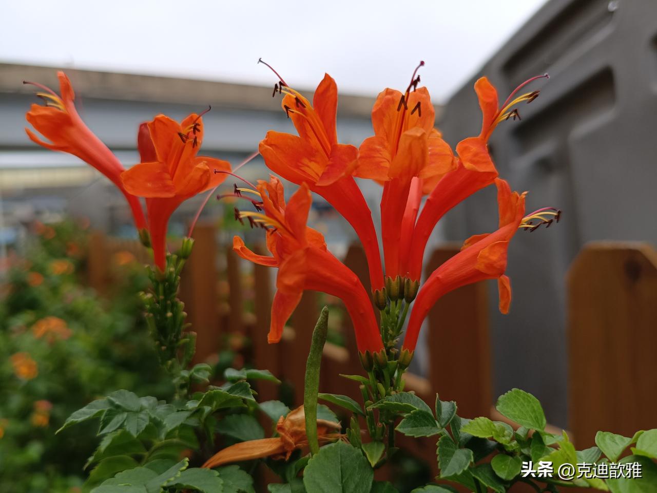 跟大家说句实在话：城乡居民基础养老金上调的政策已经定了。职工养老金，今年政府工作