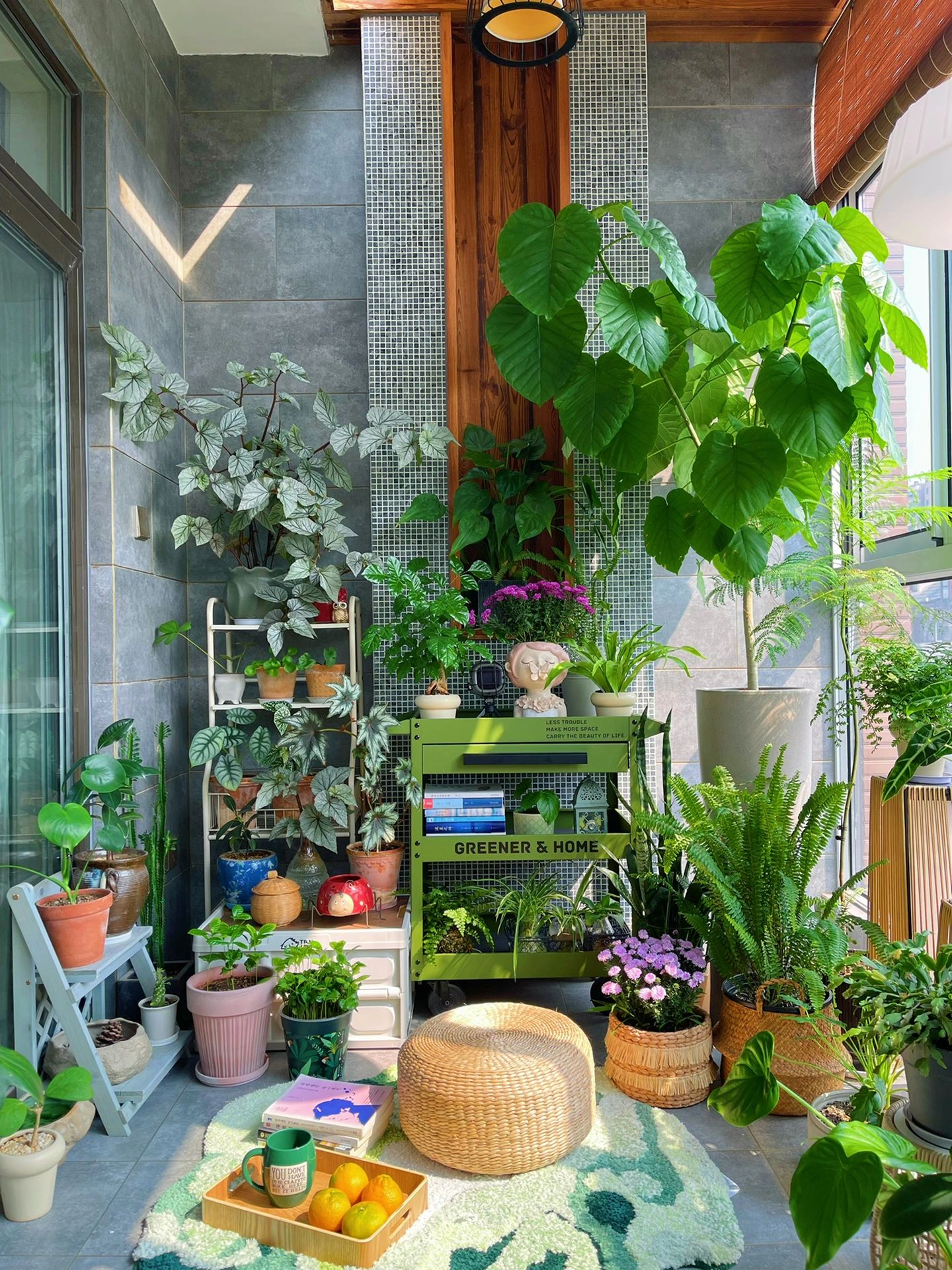 9m²阳台花园｜分享植物摆放技巧和阳台布置！