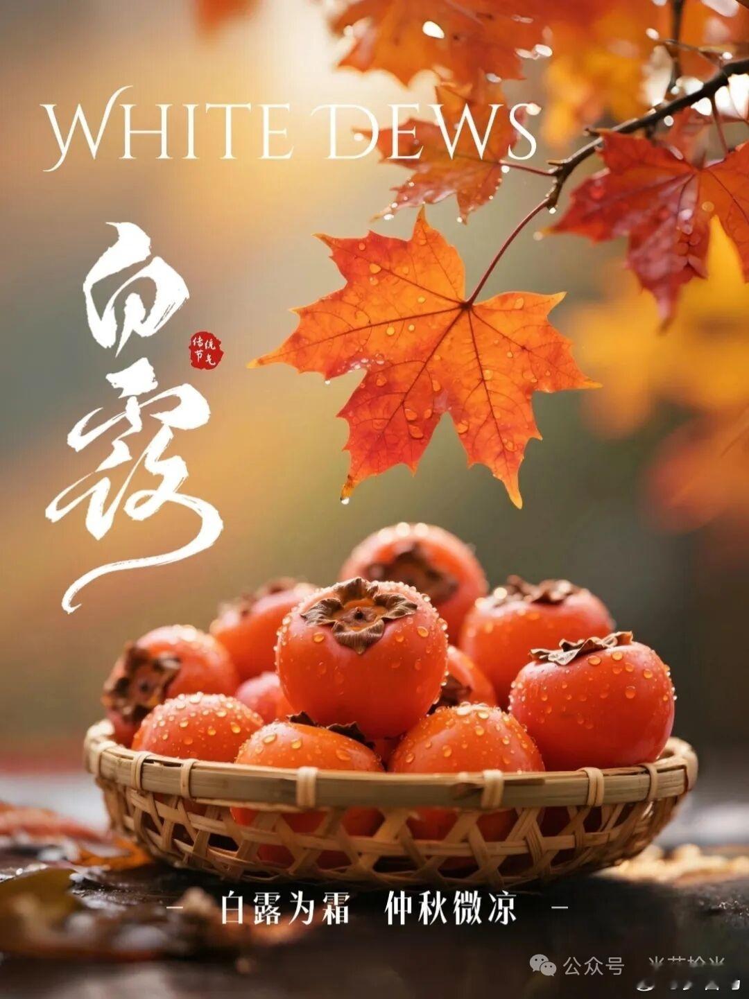 最顶级的养生是什么？第一：强肝，就多走路，每天走个几公里，先慢后快。第二：强肾，