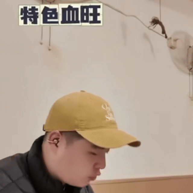 马頔为了装修到底接了多少综艺 在五哈被吊高空、被冰水冻到喊“不行不行我还要生孩子