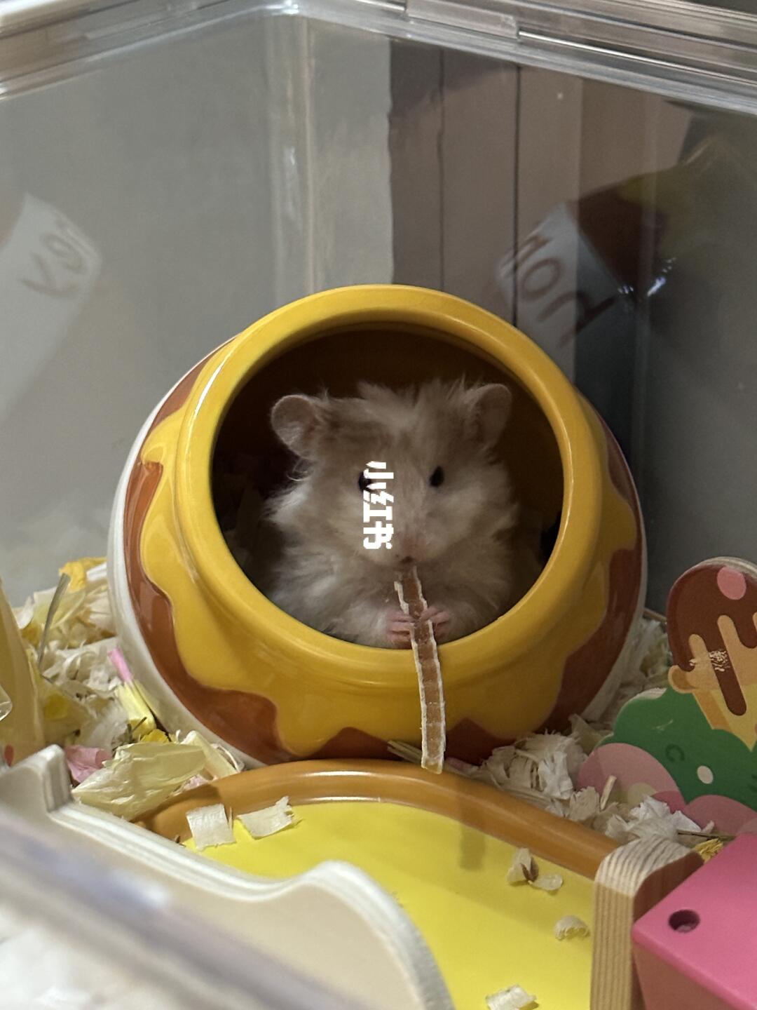 帮我看看358被骗了吗？