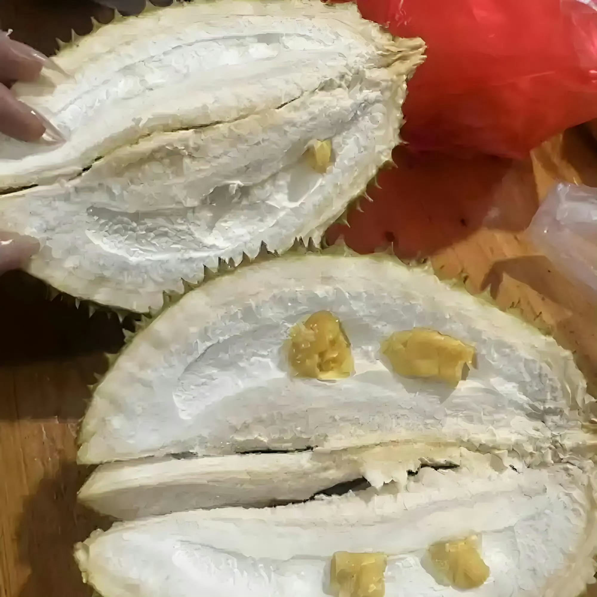 巴掌榴莲榴莲不在个头大小，主要是榴莲肉得饱满才行。别跟下面这个跟住了个大别墅似的