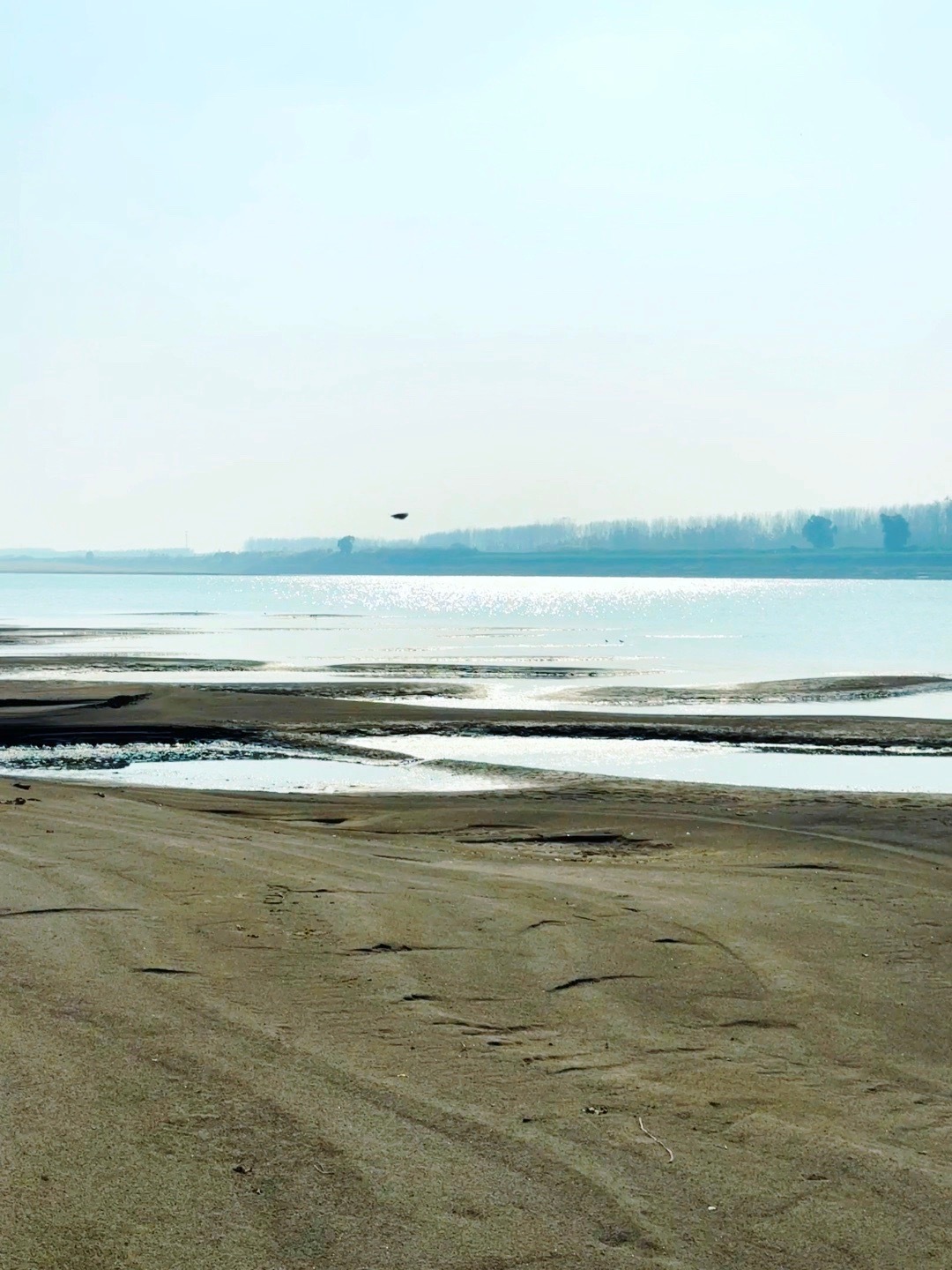 人都会疲惫，会暗淡，但也会因为某个瞬间重新爱上生活的 