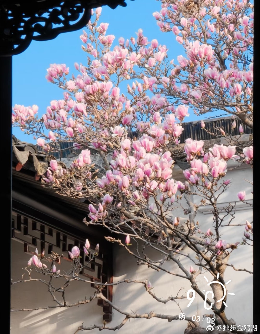 早安      看来这几天不会见晴了……     