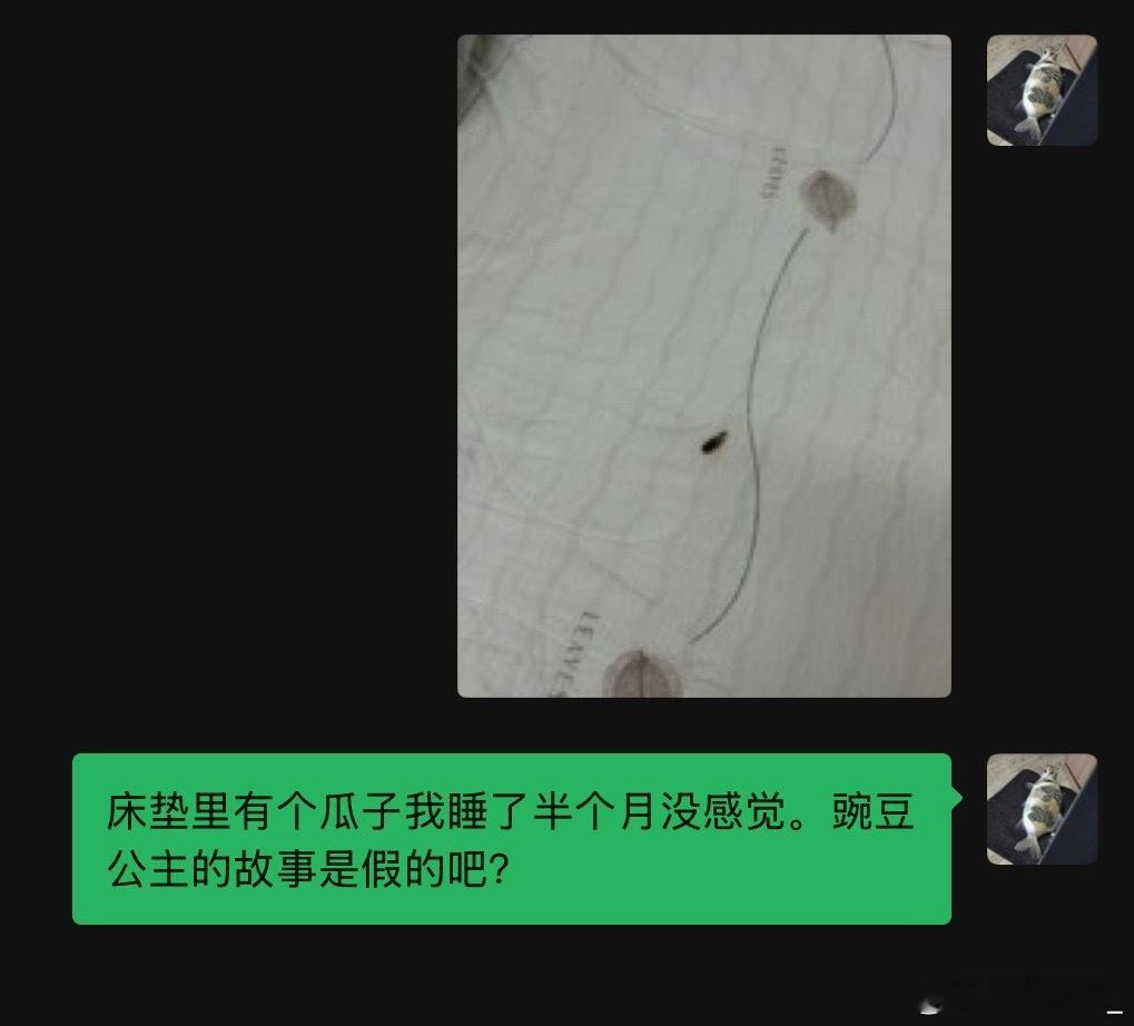 最近没犯公主病原因如下 
