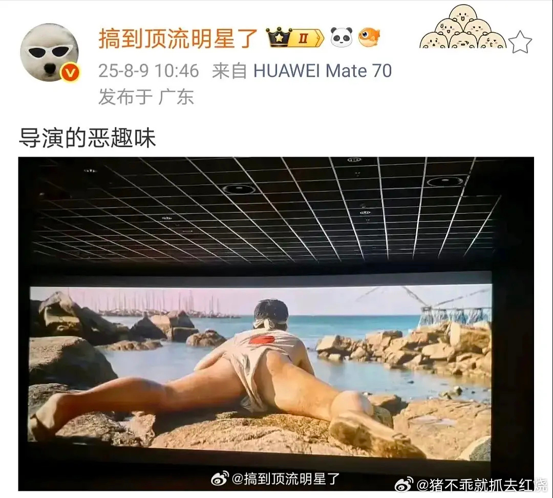 不能我一个人受到伤害 ​​​