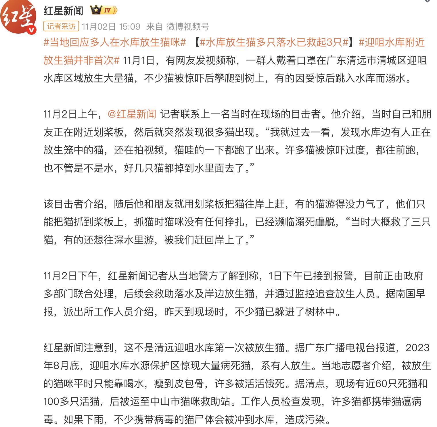 迎咀水库附近放生猫并非首次 一直比较好奇，到底是什么样一群人在宣传这样的放生？别