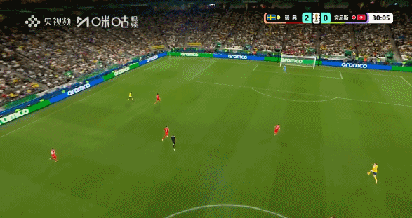 【伊萨克破门，瑞典2比0领先突尼斯！】世界杯爆棚仓鼠围观世界杯